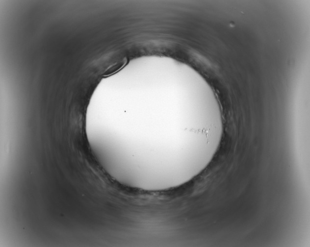 X0000086251061200704261931