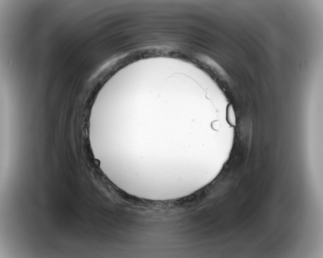 X0000086251064200704261931