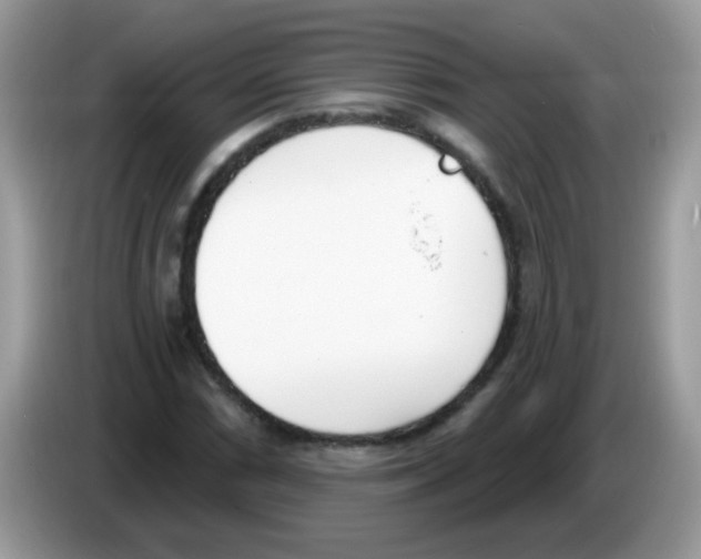 X0000086251066200704261931