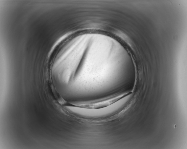 X0000086251069200704261931