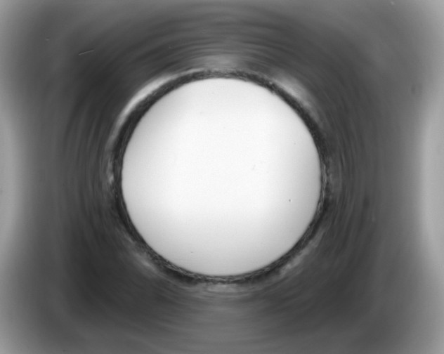 X0000086251070200704261931