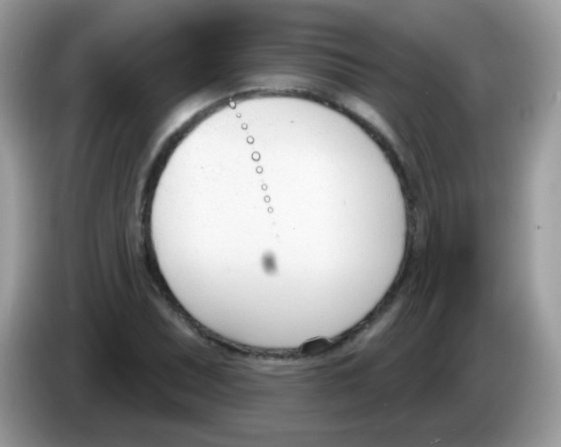 X0000086251071200704261931