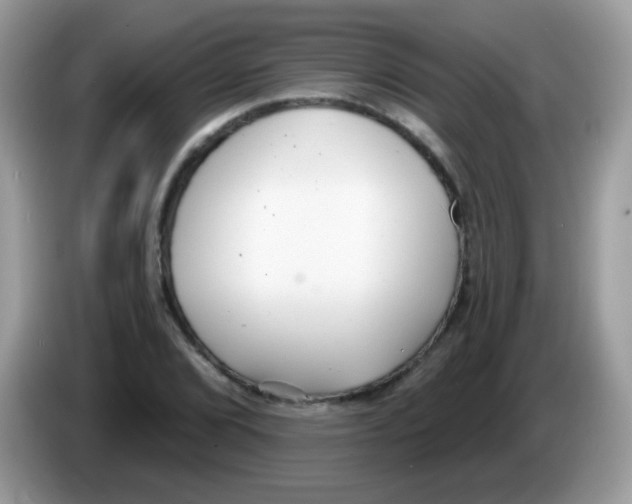 X0000086251072200704261931