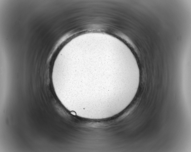 X0000086251075200704261931