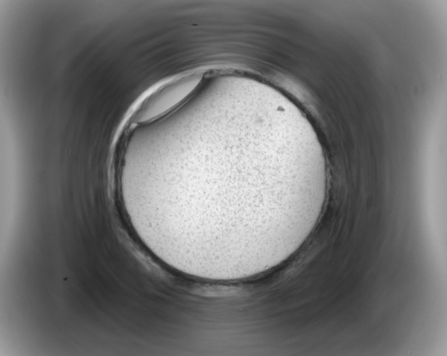 X0000086251076200704261931