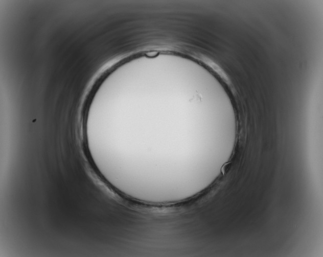 X0000086251080200704261931