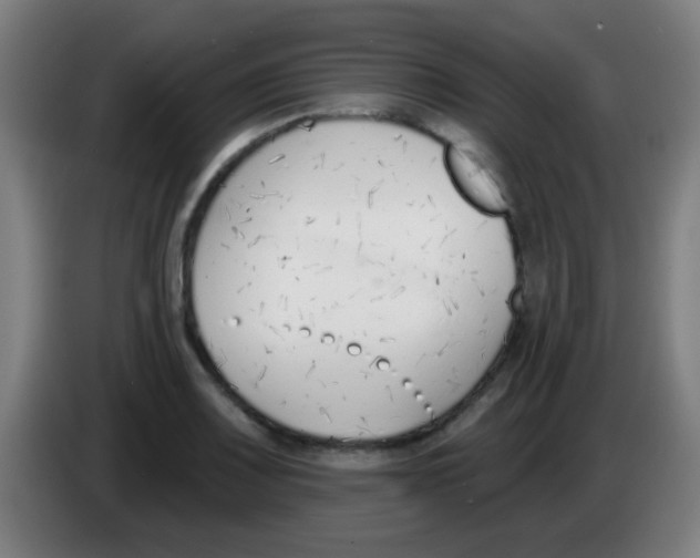 X0000086251083200704261931