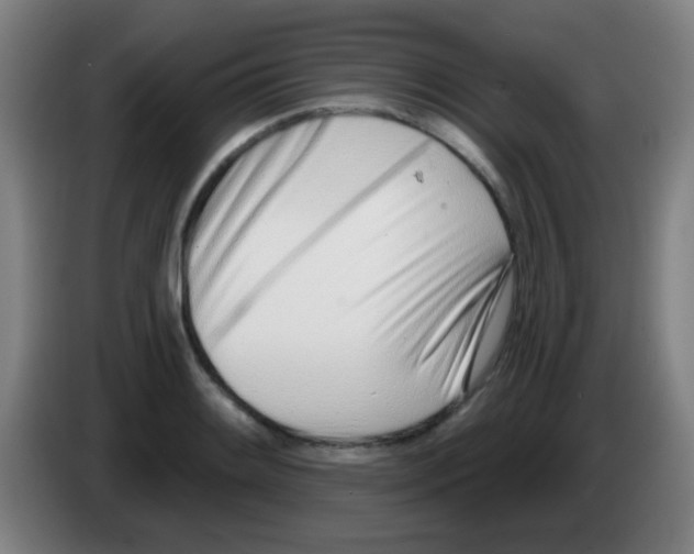 X0000086251084200704261931