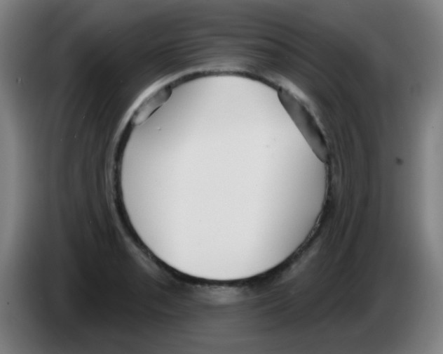X0000086251085200704261931