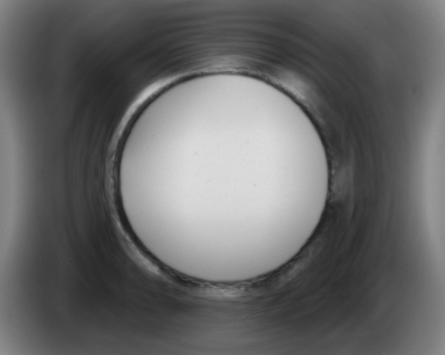 X0000086251086200704261931