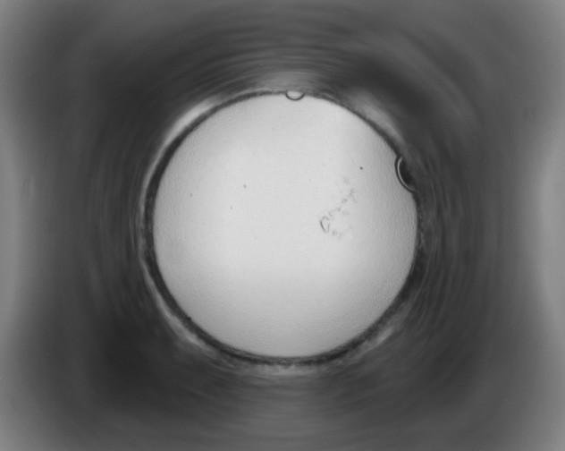 X0000086251087200704261931