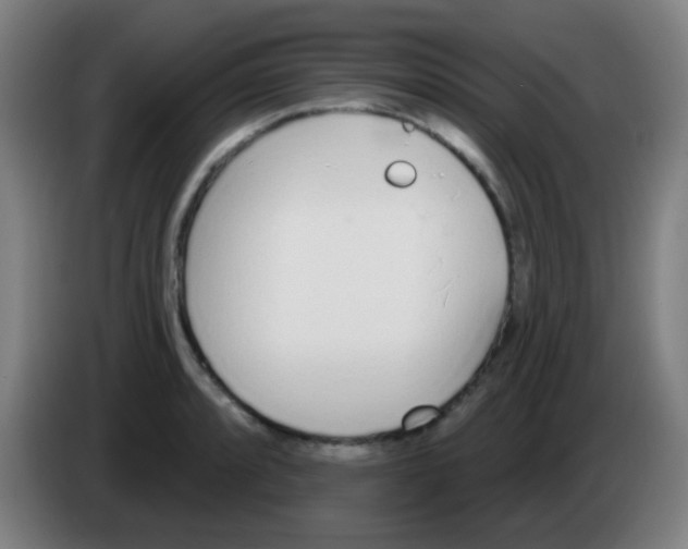 X0000086251088200704261931