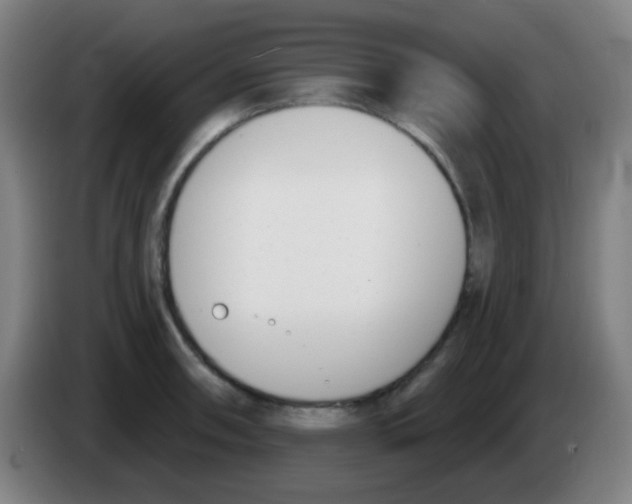 X0000086251090200704261931