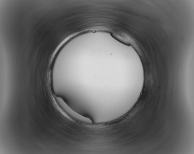 X0000086251092200704261931