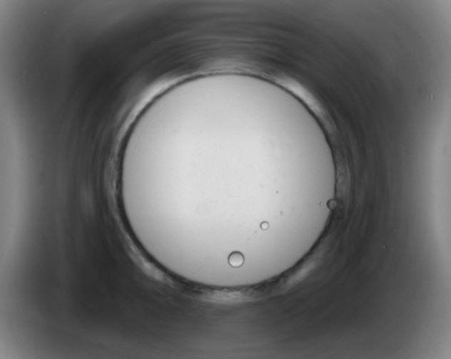 X0000086251094200704261931