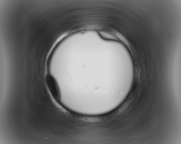 X0000086251095200704261931