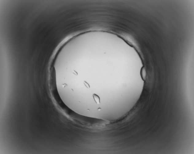 X0000086251096200704261931