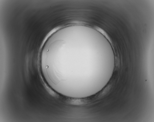X0000086251098200704261931