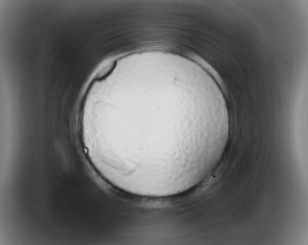 X0000086251099200704261931