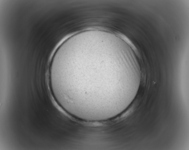 X0000086251100200704261931