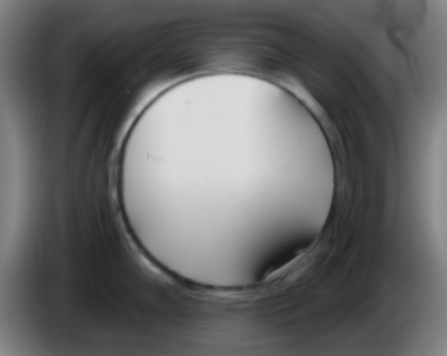X0000086251102200704261931