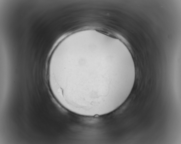 X0000086251103200704261931