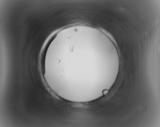 X0000086251104200704261931