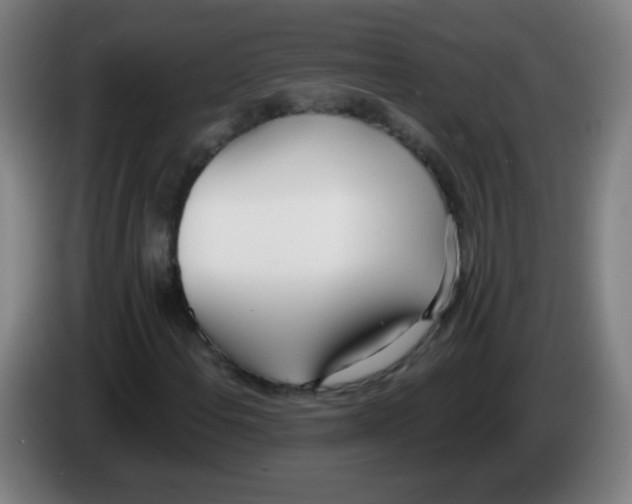 X0000086251108200704261930