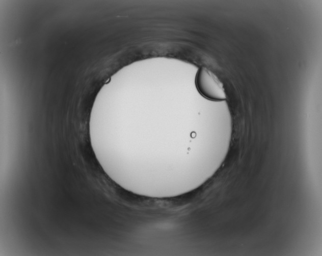 X0000086251109200704261930