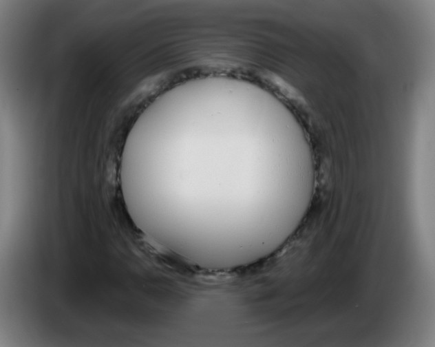 X0000086251110200704261930