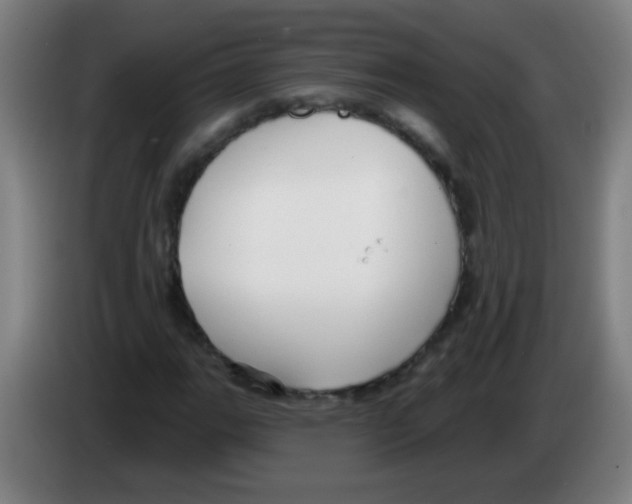 X0000086251111200704261930