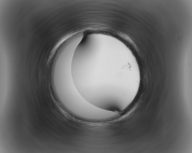 X0000086251114200704261930
