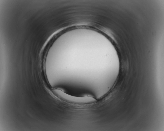 X0000086251116200704261930