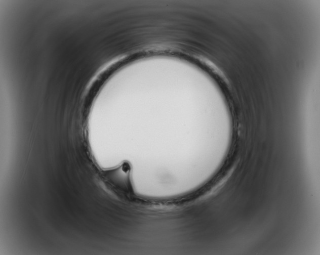 X0000086251117200704261930