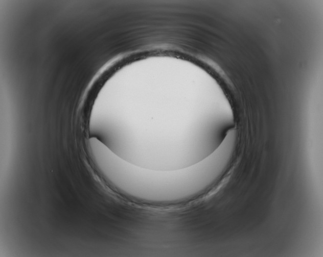 X0000086251118200704261930