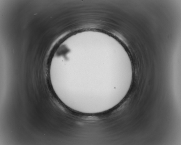 X0000086251119200704261930