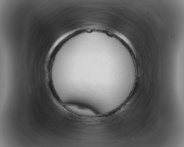 X0000086251120200704261930