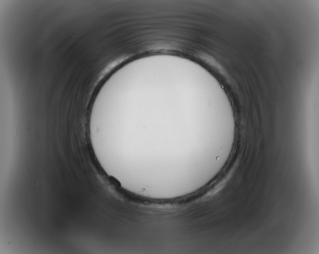 X0000086251121200704261930