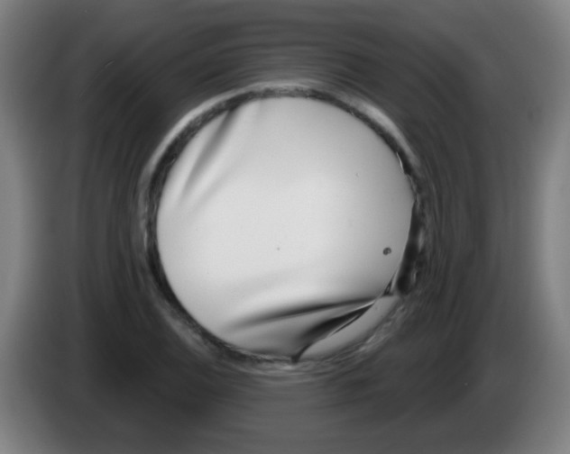 X0000086251124200704261930
