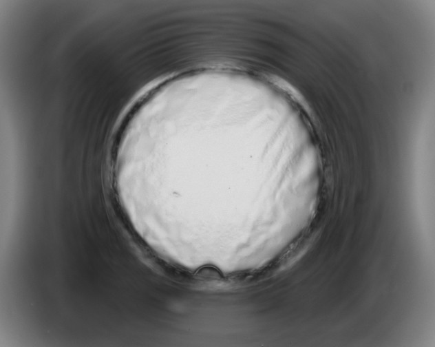 X0000086251125200704261930