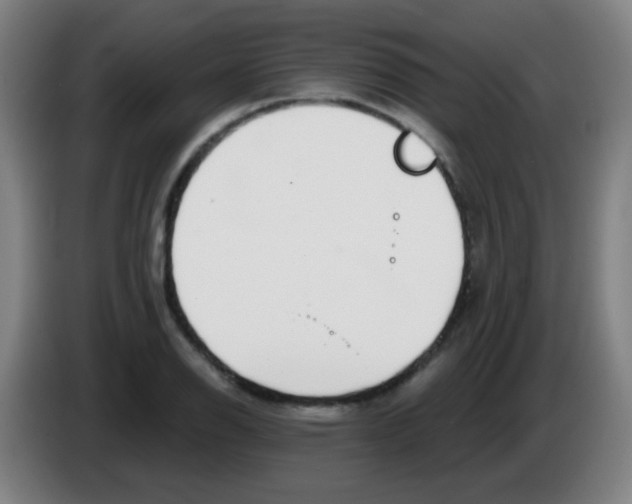 X0000086251126200704261930