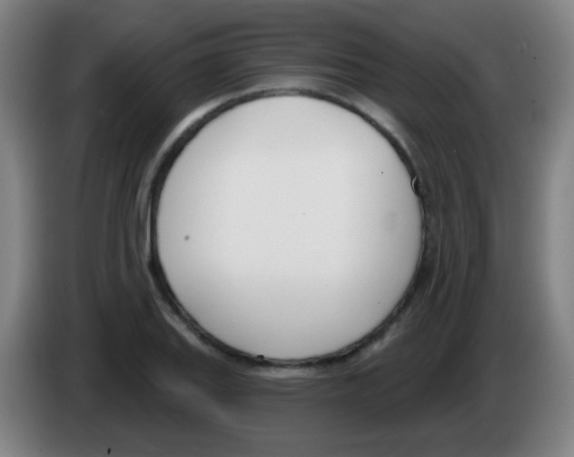X0000086251127200704261930