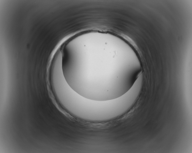 X0000086251128200704261930
