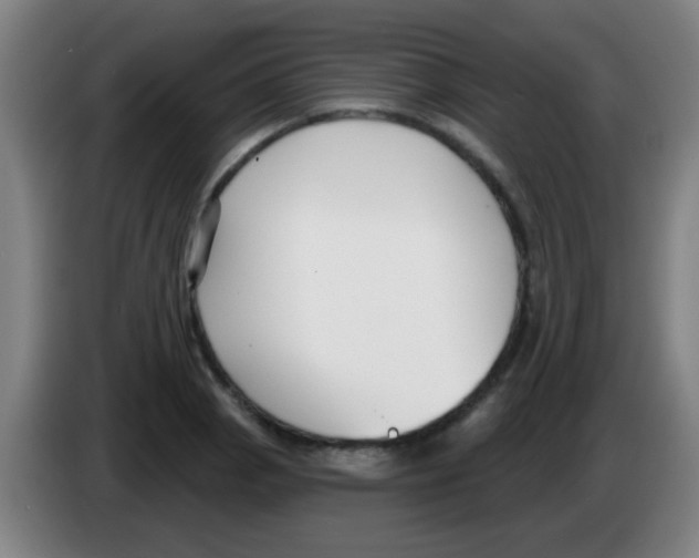 X0000086251129200704261930