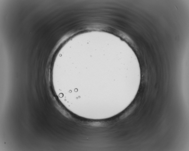 X0000086251130200704261930
