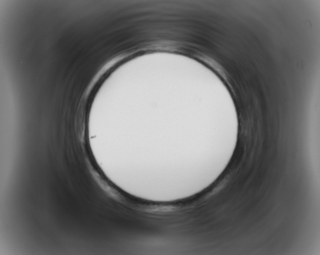X0000086251131200704261930