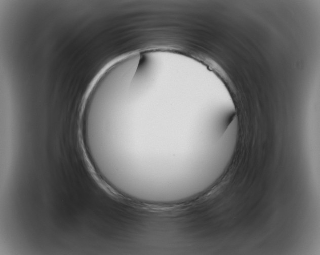 X0000086251132200704261930