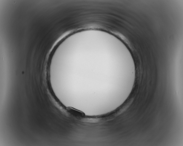 X0000086251134200704261930