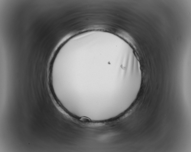 X0000086251135200704261930