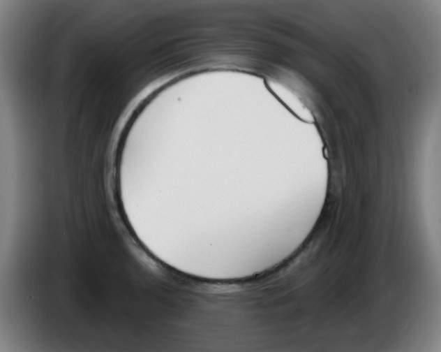 X0000086251136200704261931
